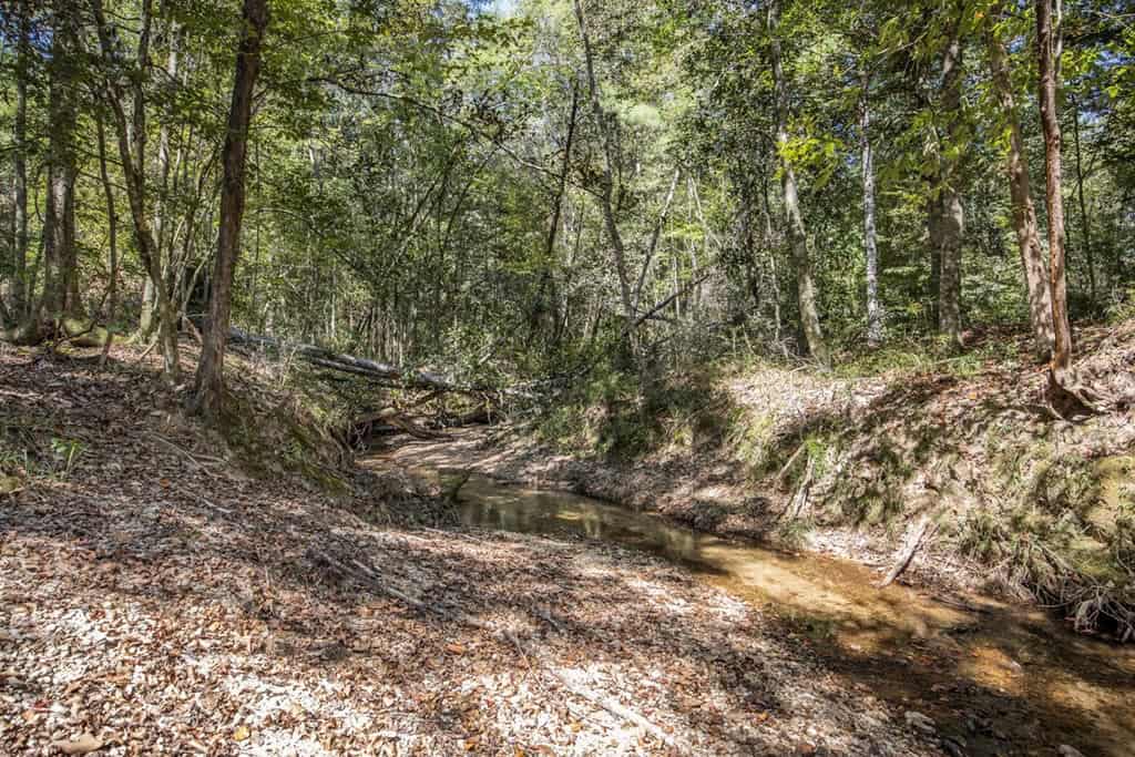 Turnkey Hunting Property Connected to Caston Creek WMA