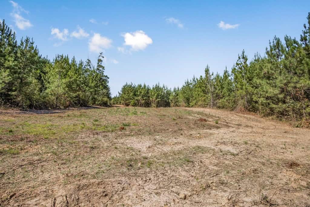 Franklin County Land Adjoining Homochitto National Forest