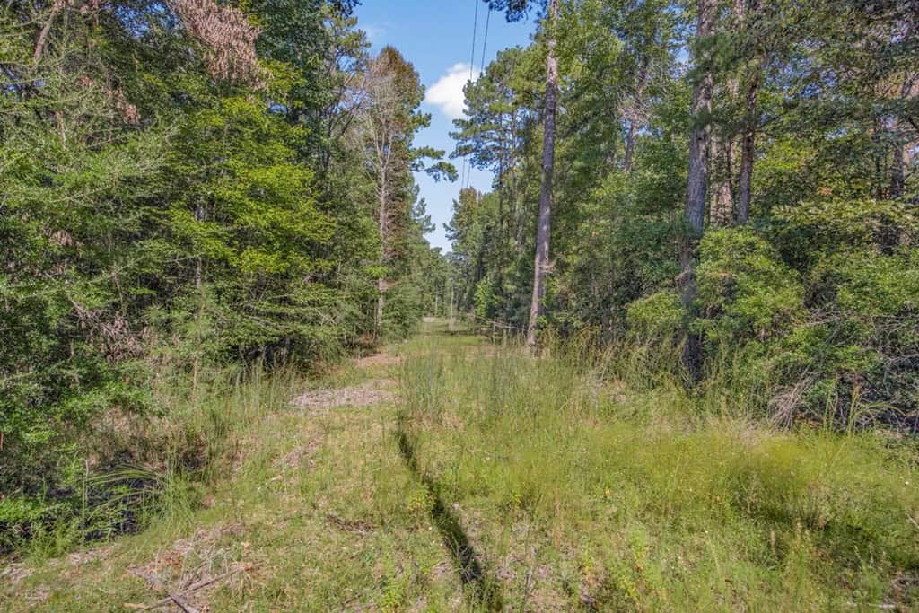 Affordable Hunting Property Adjoining National Forest