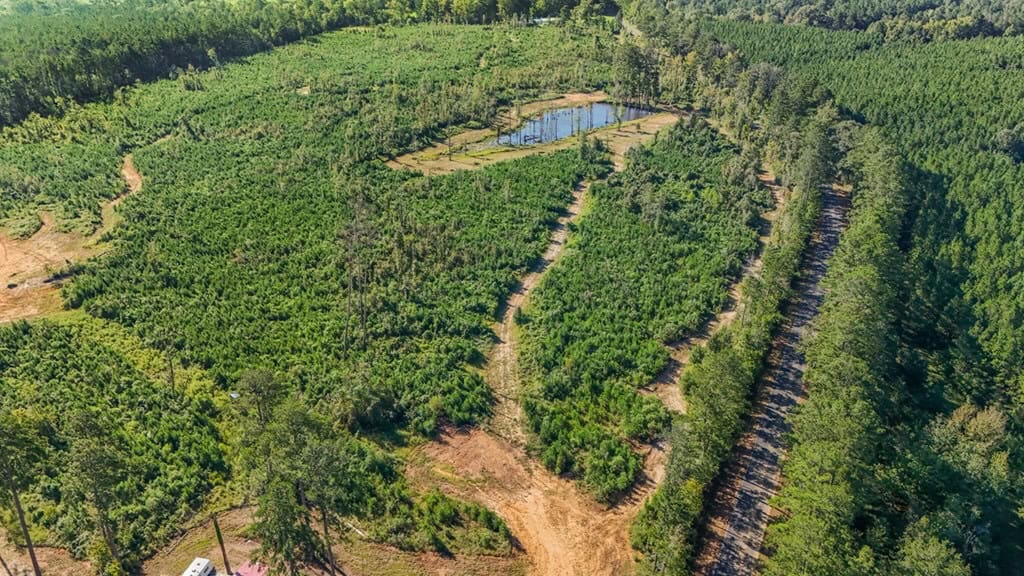 Small Hunting Tract in Amite County, MS