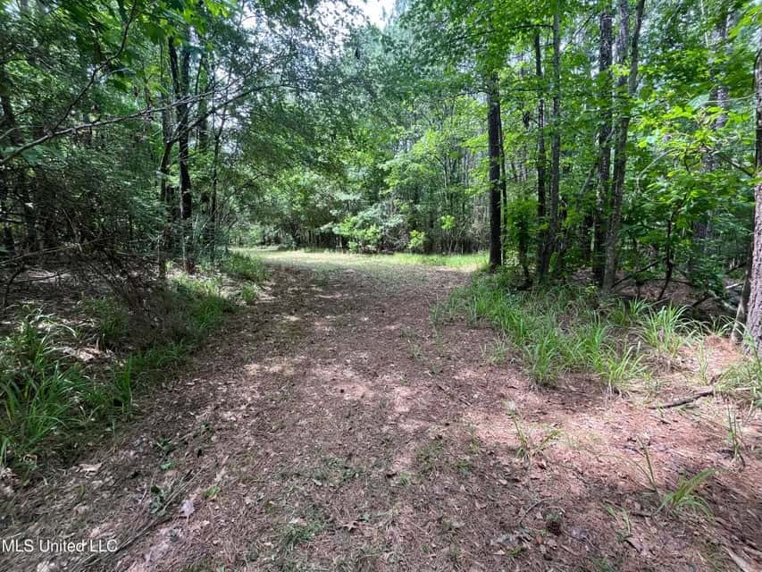 28 Acres in Hinds County