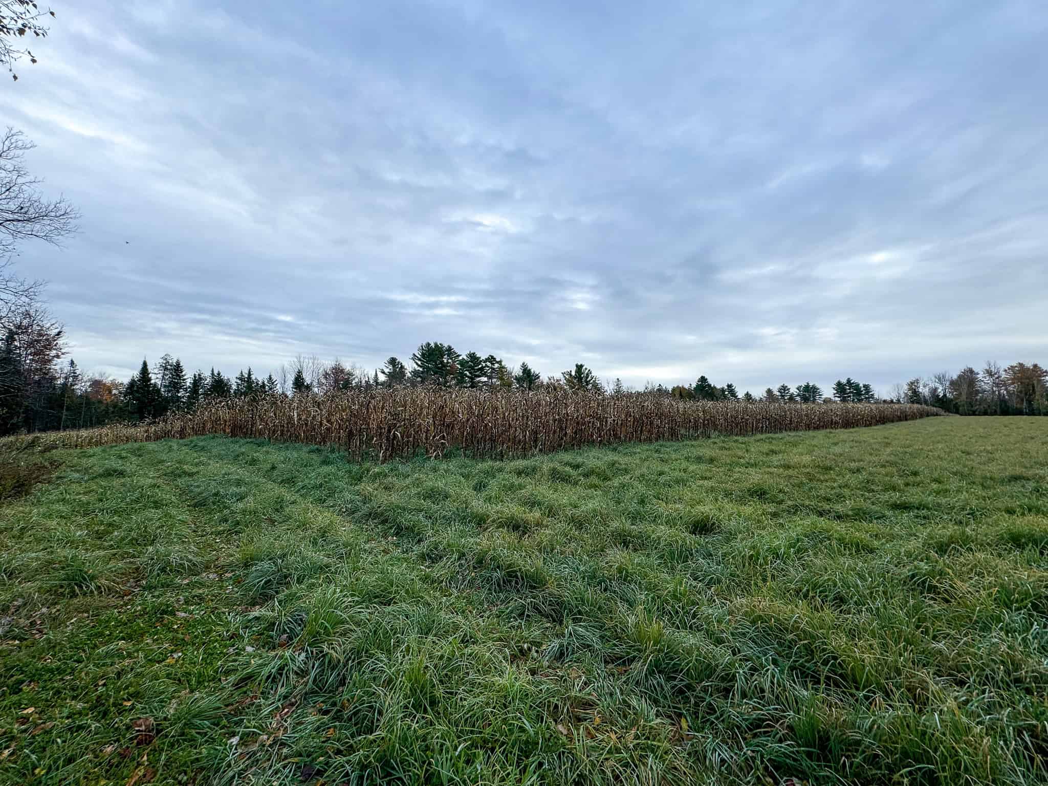 Homestead & Hunting Land in Central Maine