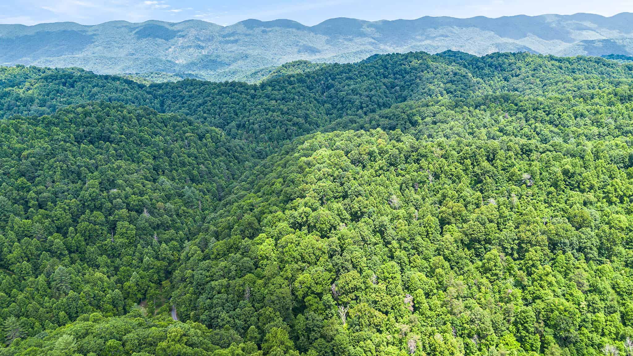 Building Lot for Sale in Bristol VA