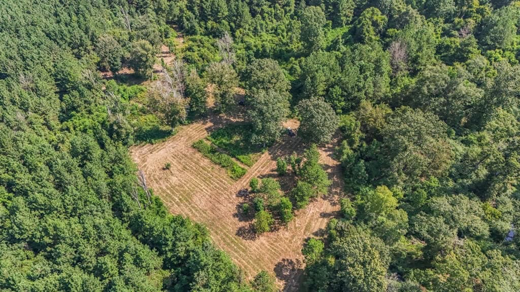 137 Acres for Sale with Comite River Frontage