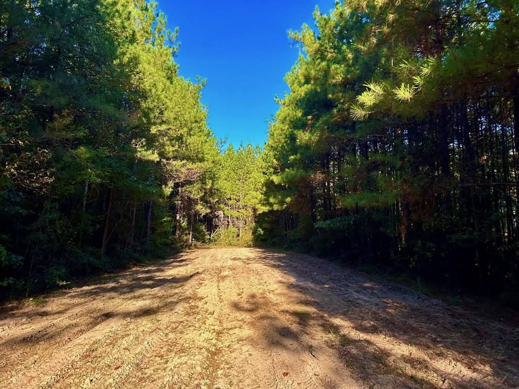 Smithdale MS 100+- Acres For Sale