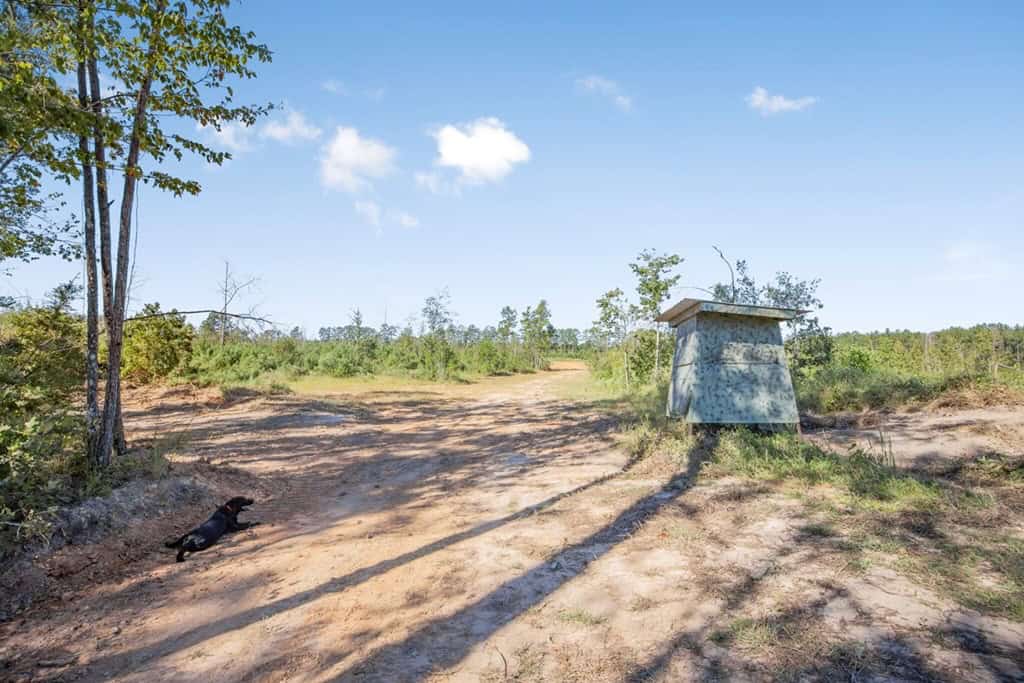 Small Hunting Tract in Amite County, MS