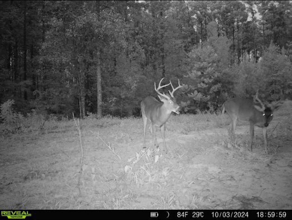 Turnkey Property in Amite County Connected to Caston Creek