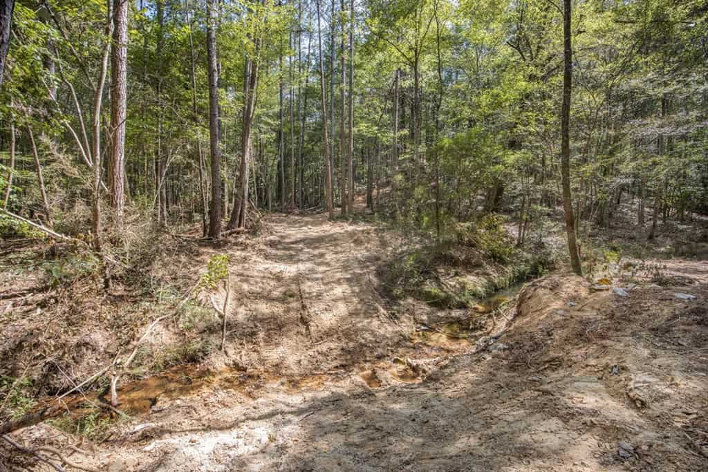 Turnkey Property in Amite County Connected to Caston Creek