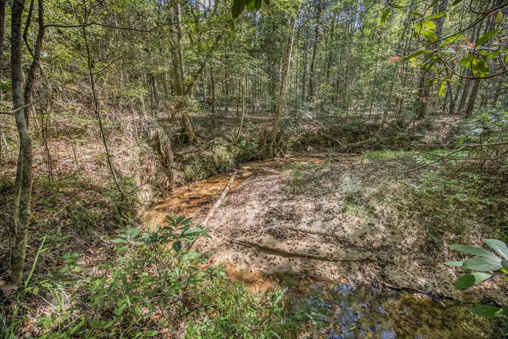 Turnkey Hunting Property Connected to Caston Creek WMA