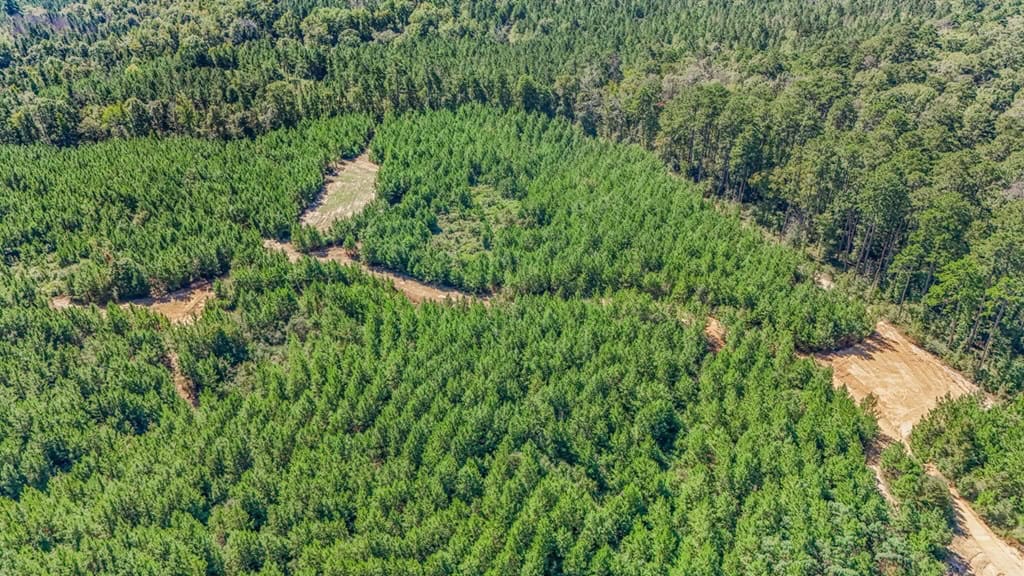 Franklin County Land Adjoining Homochitto National Forest
