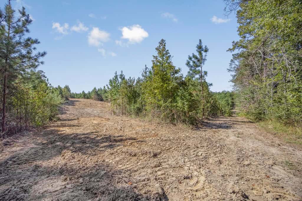 Affordable Hunting Property Adjoining National Forest