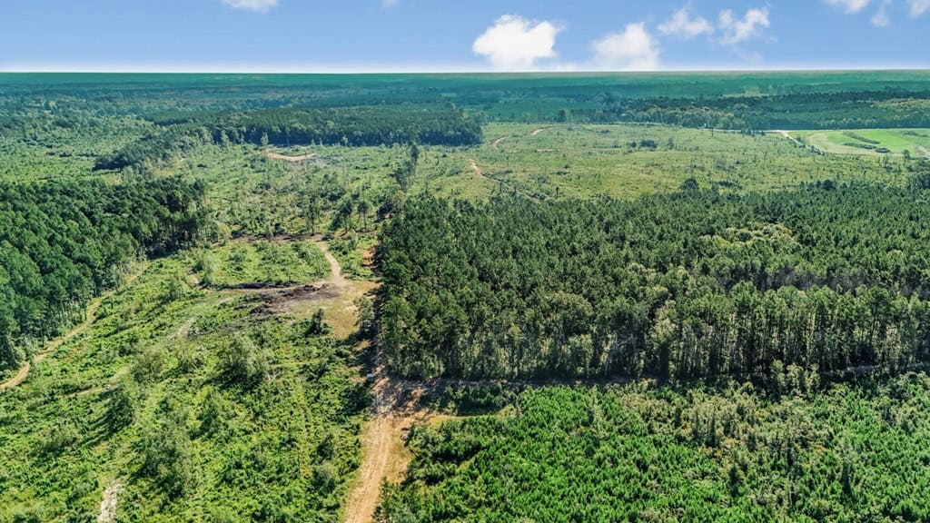Small Hunting Tract in Amite County, MS