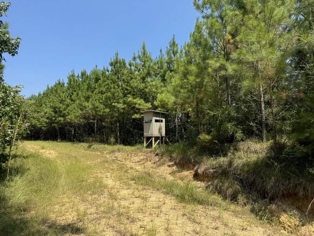 45 Acre Timberland Hunting Lincoln County South MS