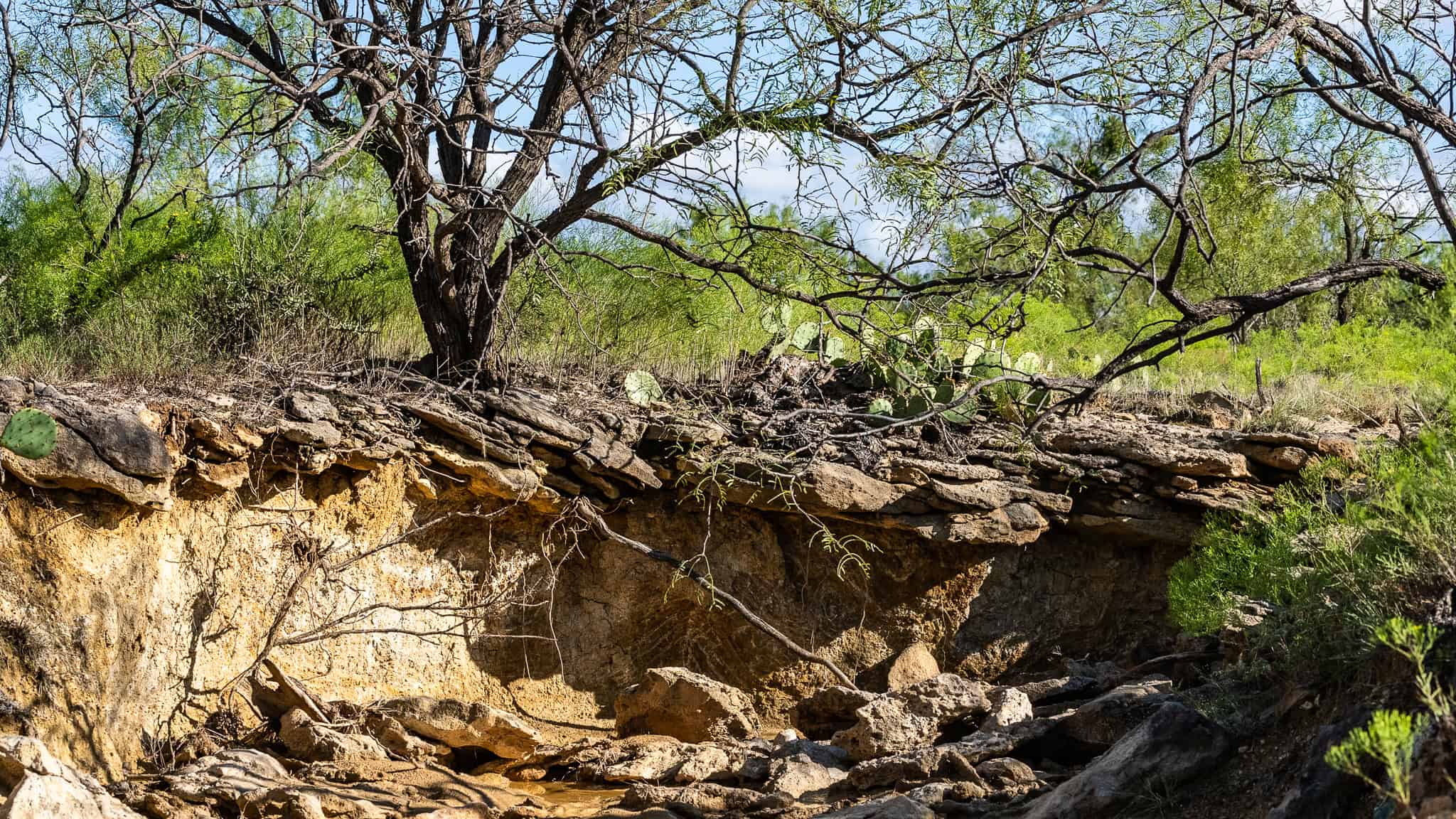 SOLD! Prime TX Hunting Property for Sale West of Fort Worth