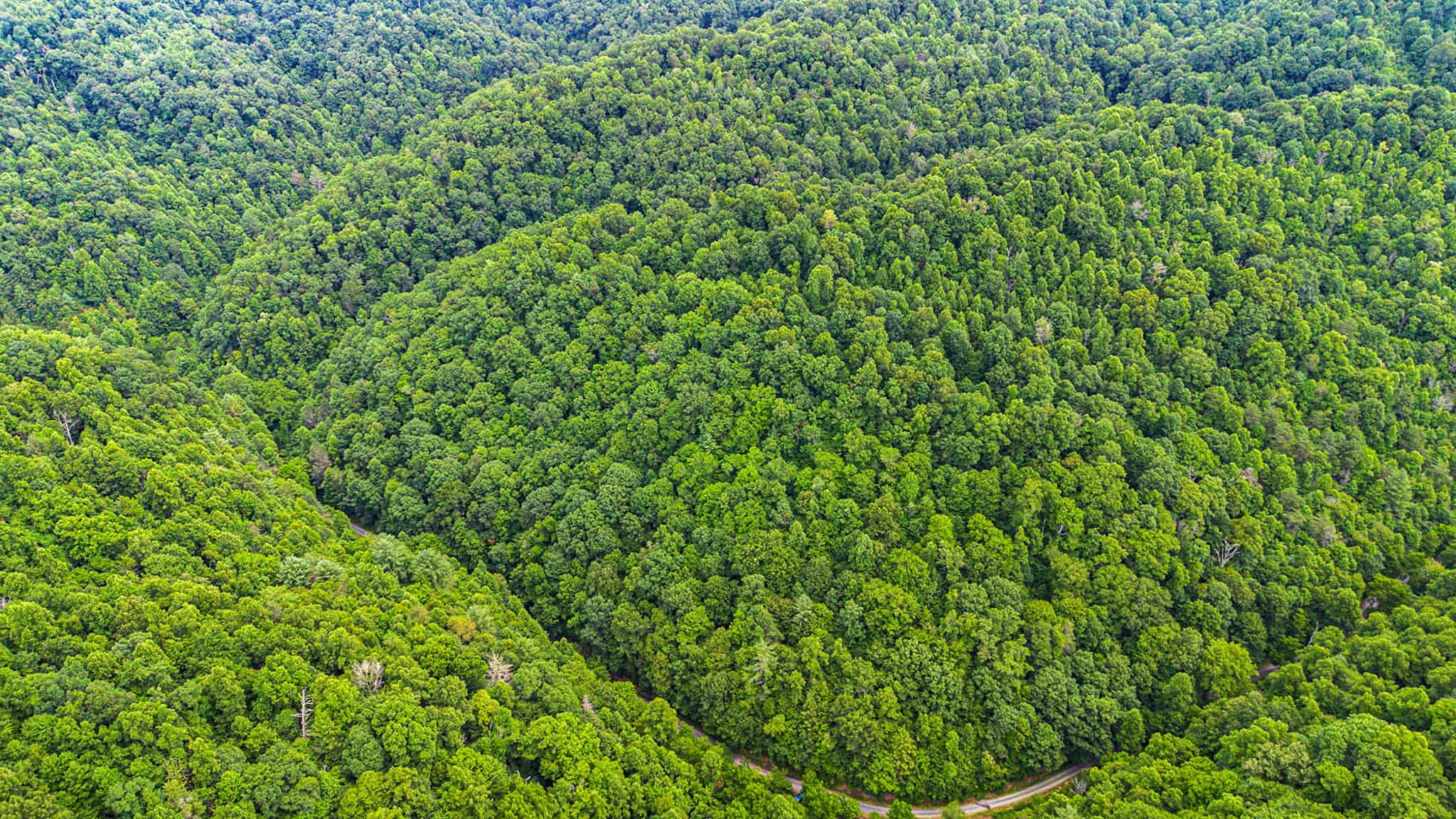Building Lot for Sale in Bristol VA