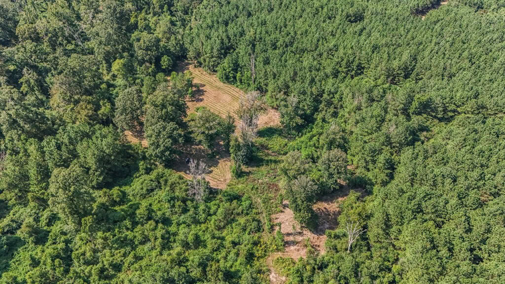 137 Acres for Sale with Comite River Frontage