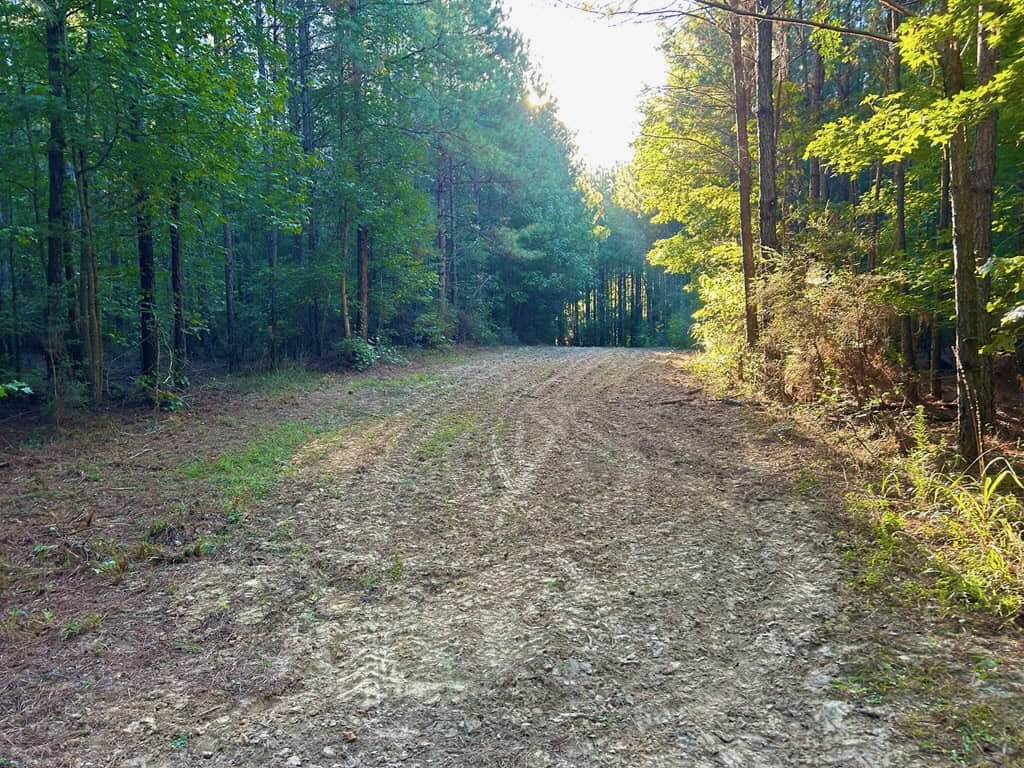 Smithdale MS 100+- Acres For Sale