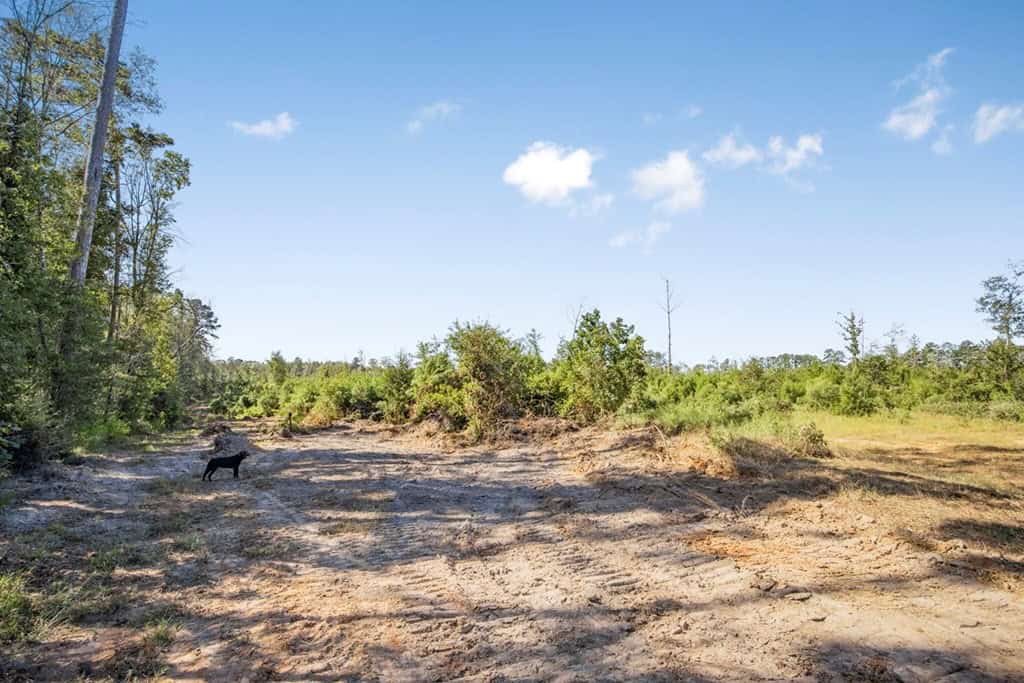 Small Hunting Tract in Amite County, MS