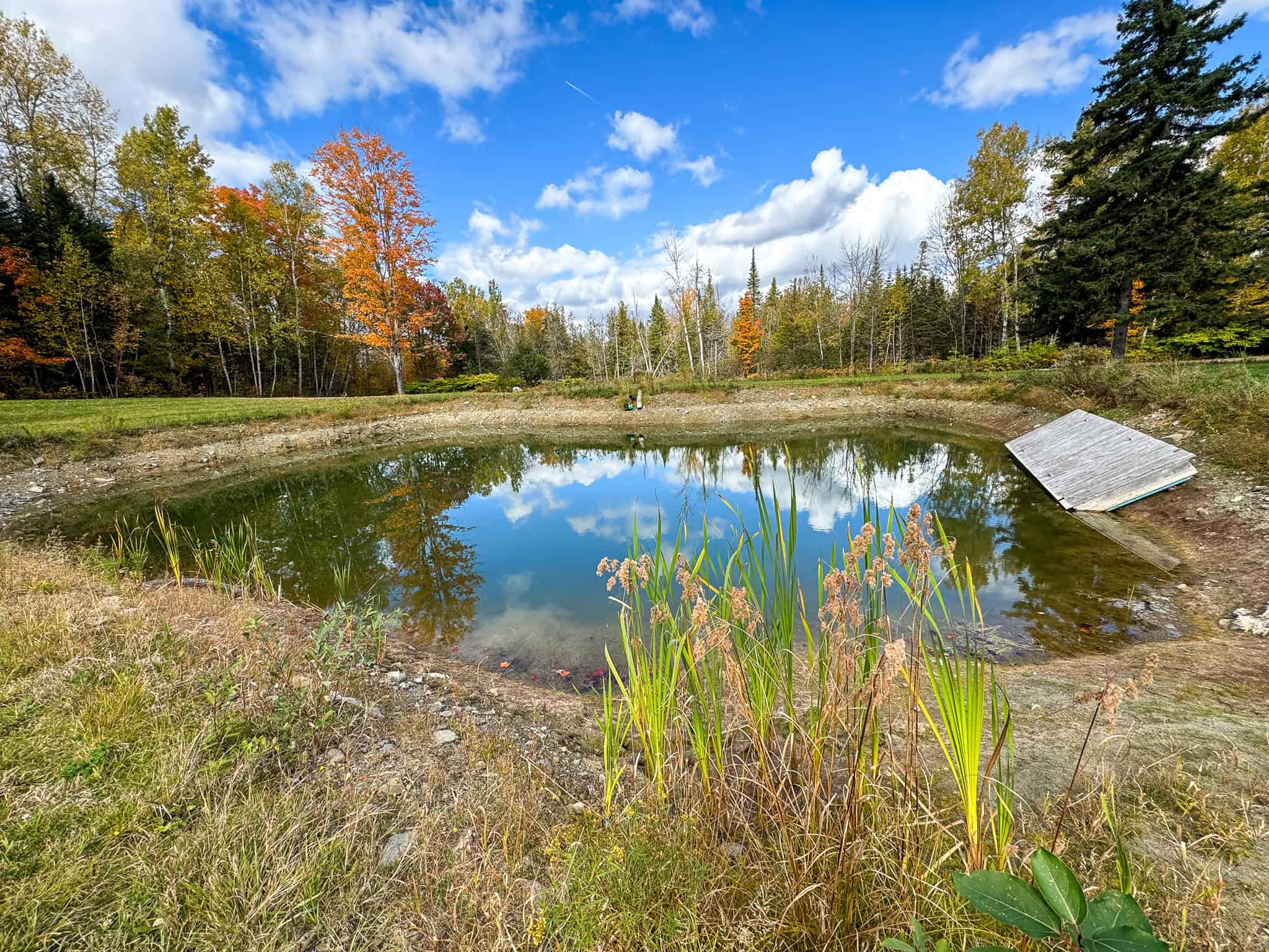 Contemporary Home on 10.5 acres with Pond
