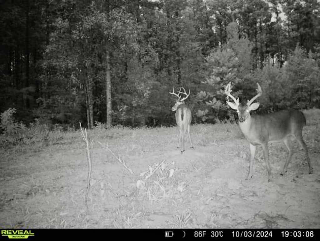 Turnkey Property in Amite County Connected to Caston Creek