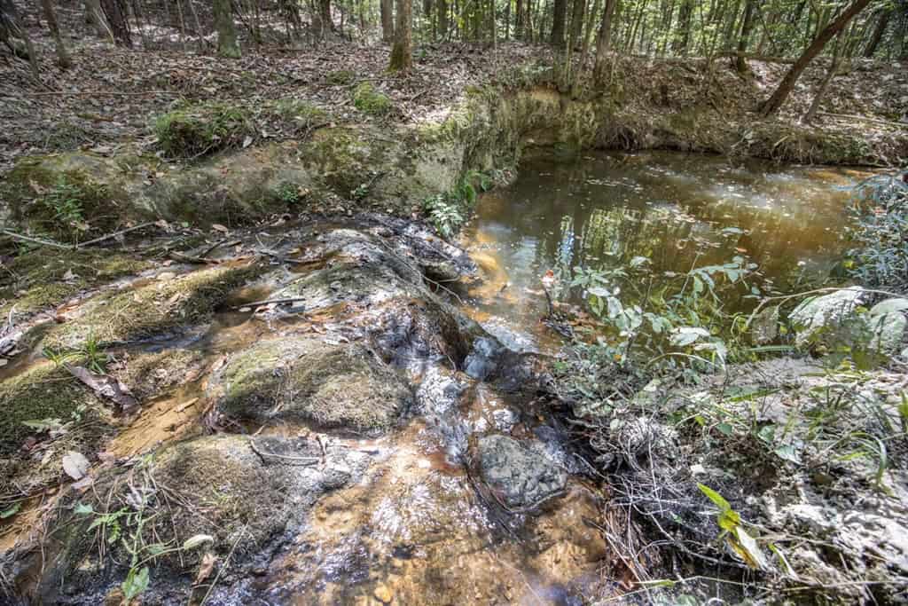 Turnkey Property in Amite County Connected to Caston Creek