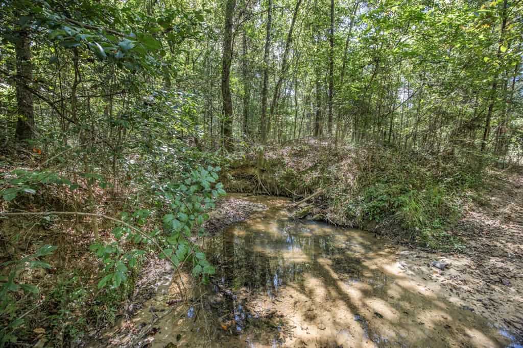 Turnkey Hunting Property Connected to Caston Creek WMA
