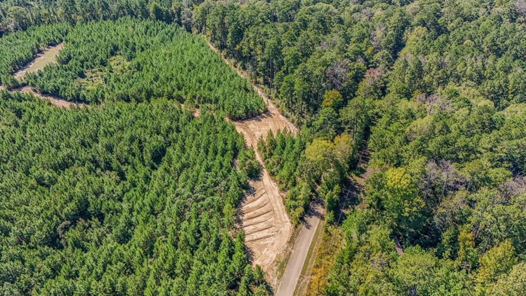 Franklin County Land Adjoining Homochitto National Forest