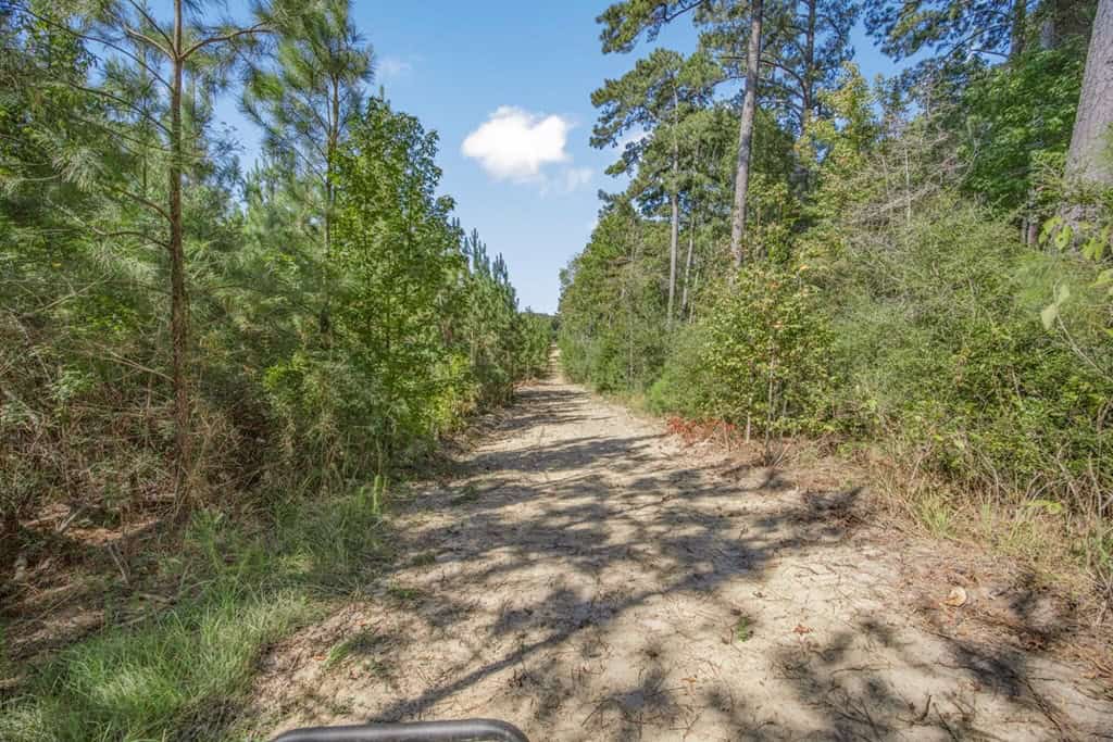 Affordable Hunting Property Adjoining National Forest