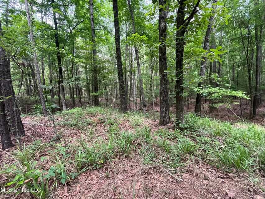 28 Acres in Hinds County