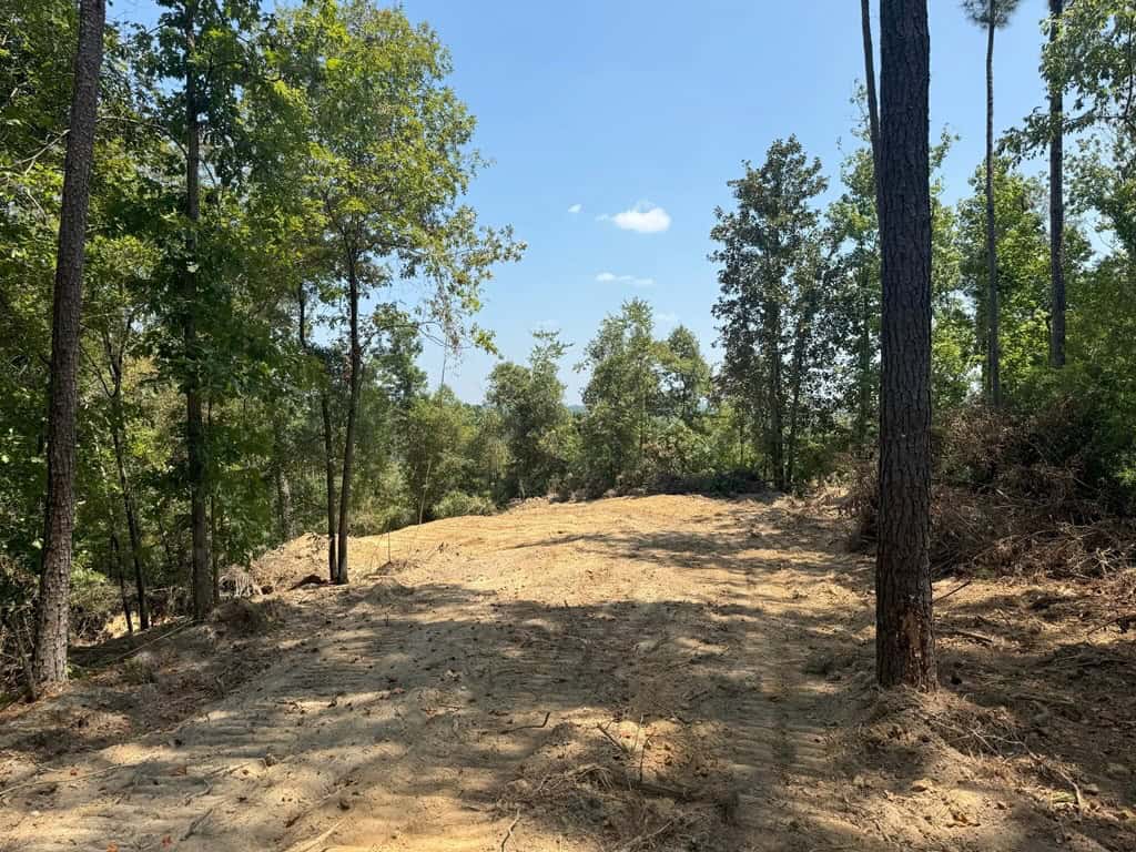 296 Acre Timberland for Sale with Creek Southwest MS