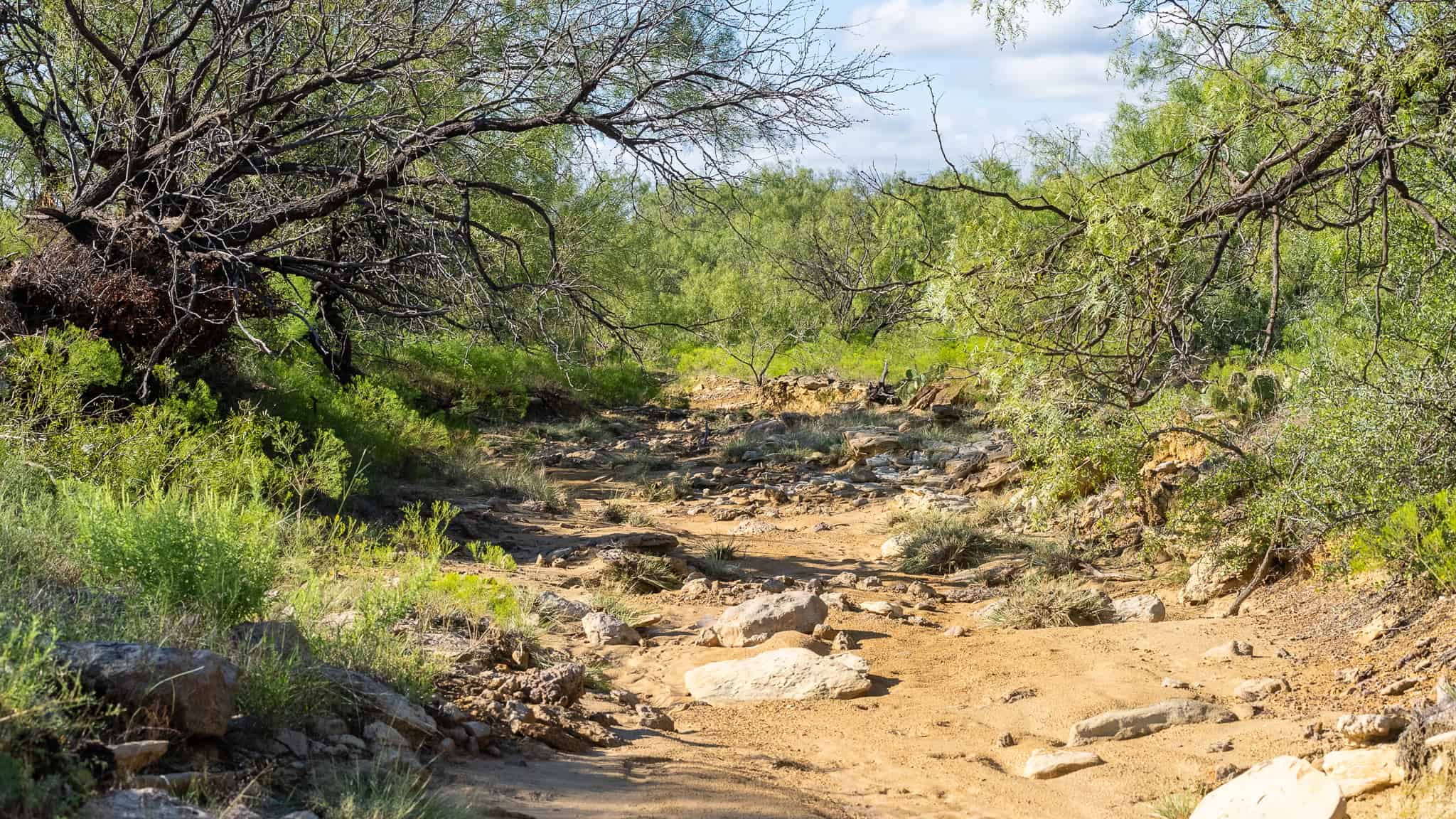 SOLD! Prime TX Hunting Property for Sale West of Fort Worth