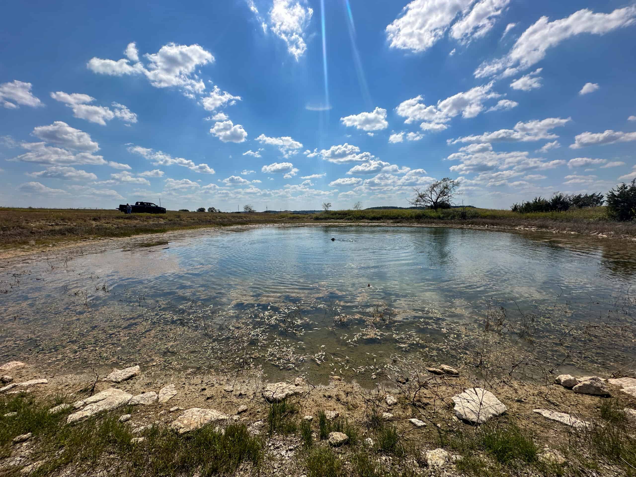 Central Texas 34.5-Acre Fenced Ranch for Sale – Perfect Custom Home Site