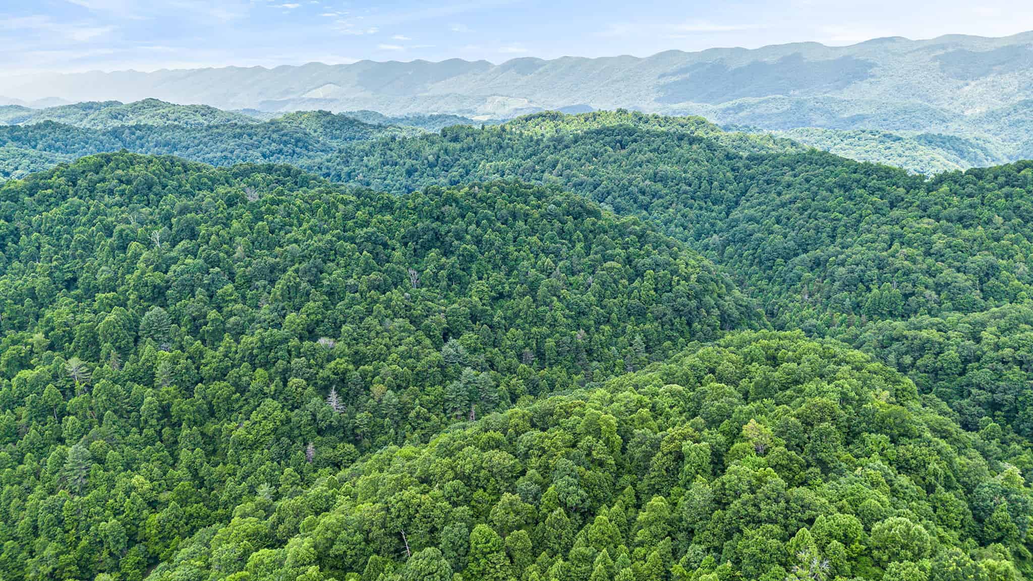 Building Lot for Sale in Bristol VA