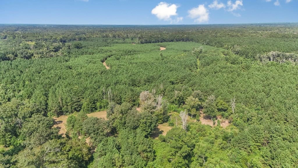137 Acres for Sale with Comite River Frontage