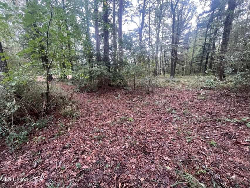 42 Acres for Sale with Old Country Home Scott Co MS