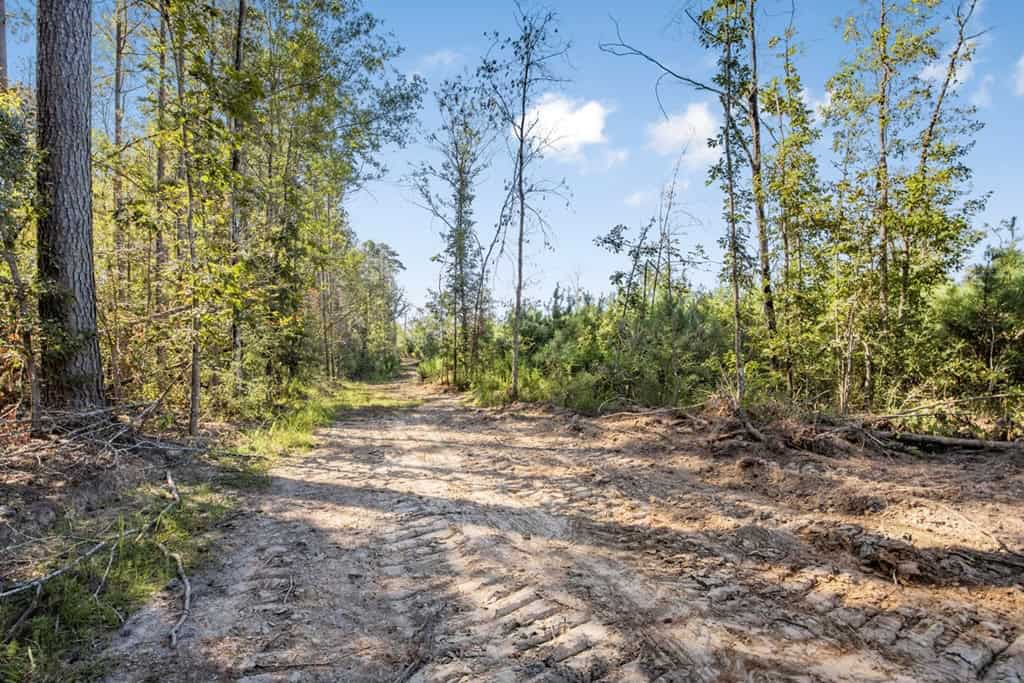Small Hunting Tract in Amite County, MS