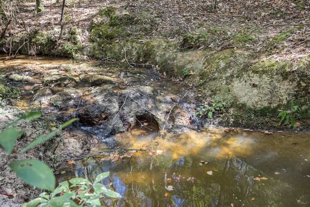Turnkey Property in Amite County Connected to Caston Creek
