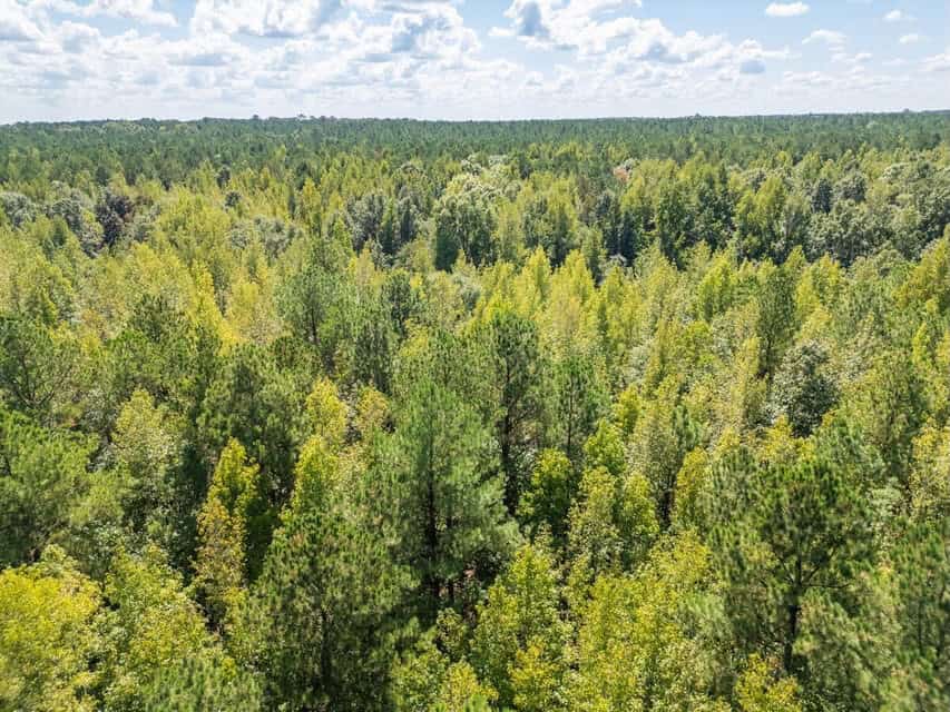 35 Acres For Sale Starkville MS
