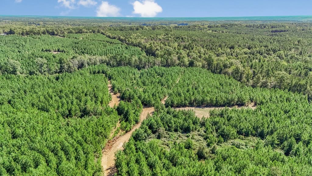 Franklin County Land Adjoining Homochitto National Forest