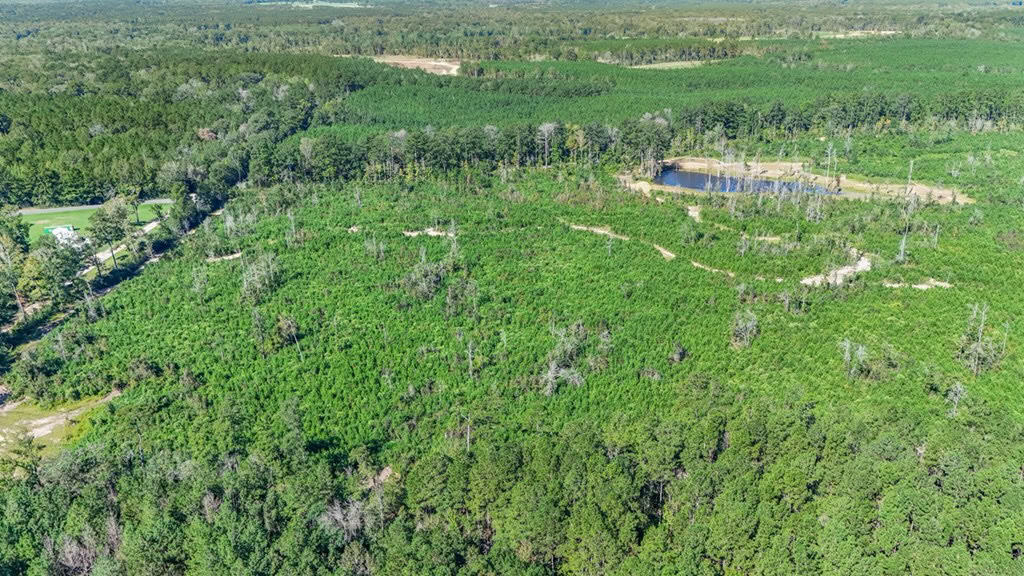 Small Hunting Tract in Amite County, MS