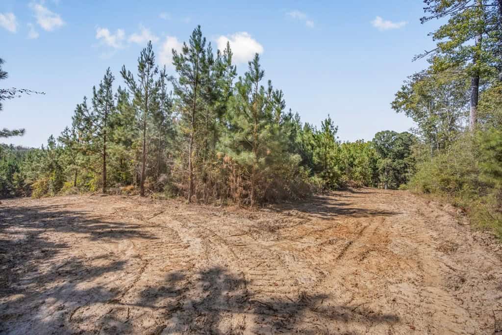 Affordable Hunting Property Adjoining National Forest