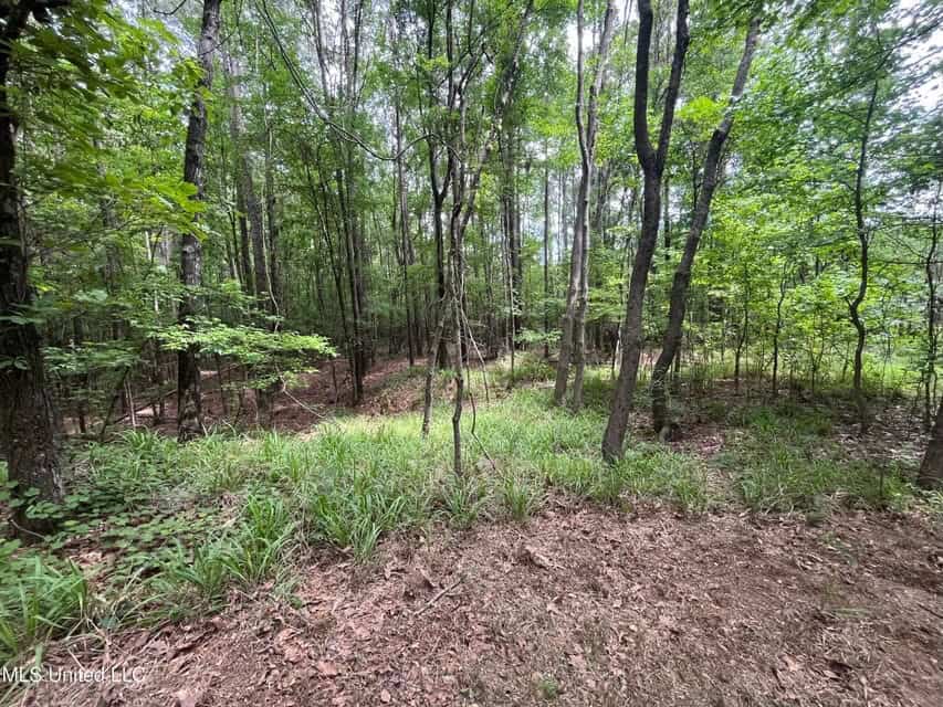 28 Acres in Hinds County