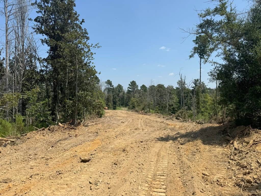 296 Acre Timberland for Sale with Creek Southwest MS