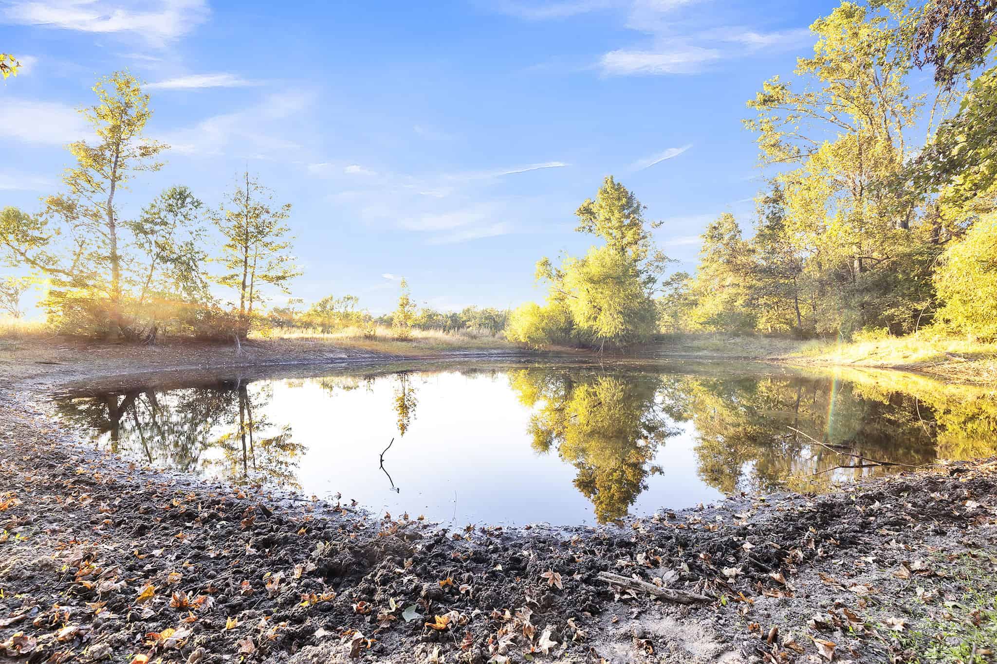 SOLD! Texas Land for Sale East of Dallas Near Ben Wheeler