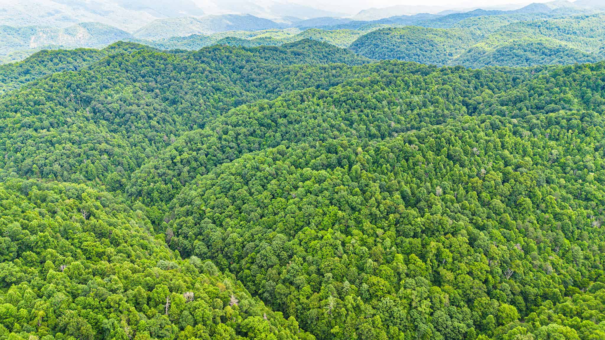 Building Lot for Sale in Bristol VA