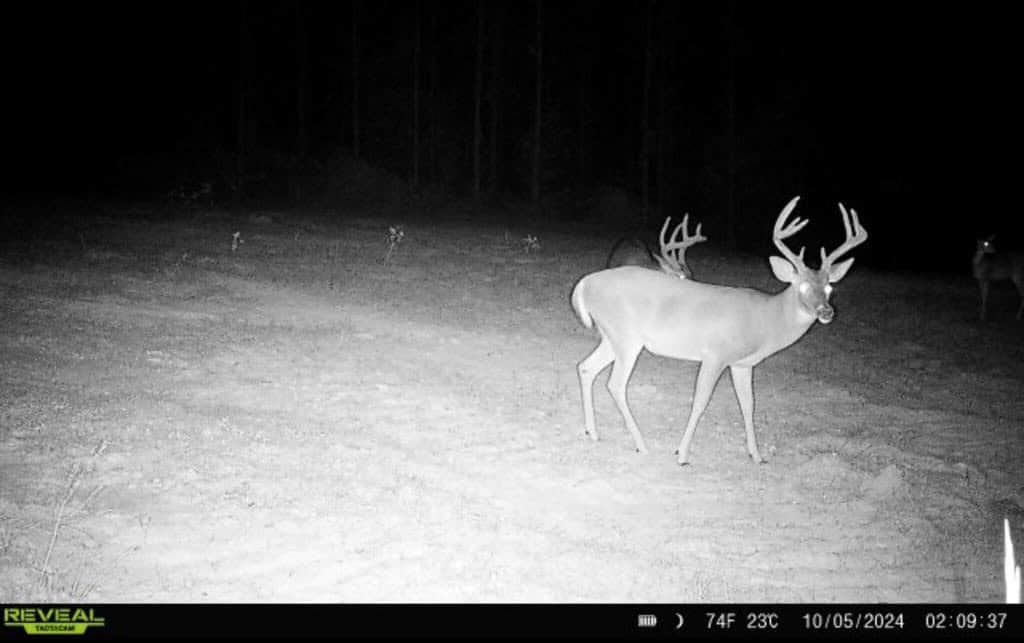 Turnkey Property in Amite County Connected to Caston Creek