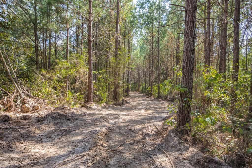 Turnkey Property in Amite County Connected to Caston Creek