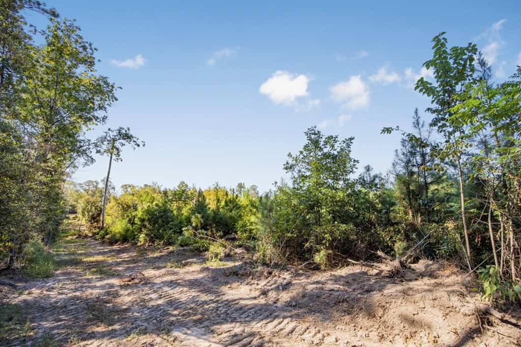 Small Hunting Tract in Amite County, MS