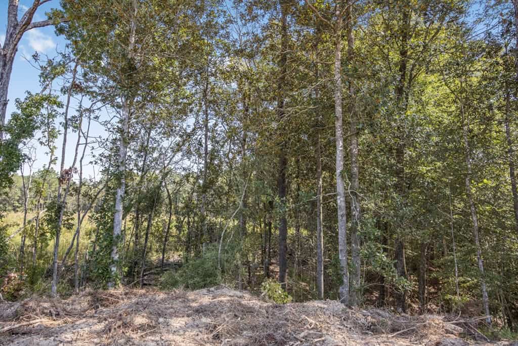 Turnkey Hunting Property Connected to Caston Creek WMA