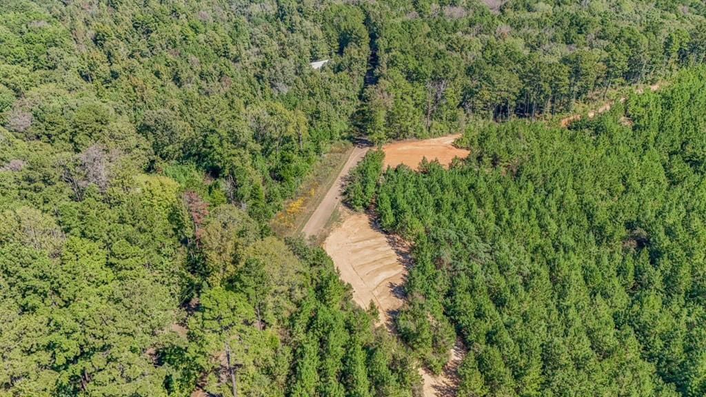 Franklin County Land Adjoining Homochitto National Forest